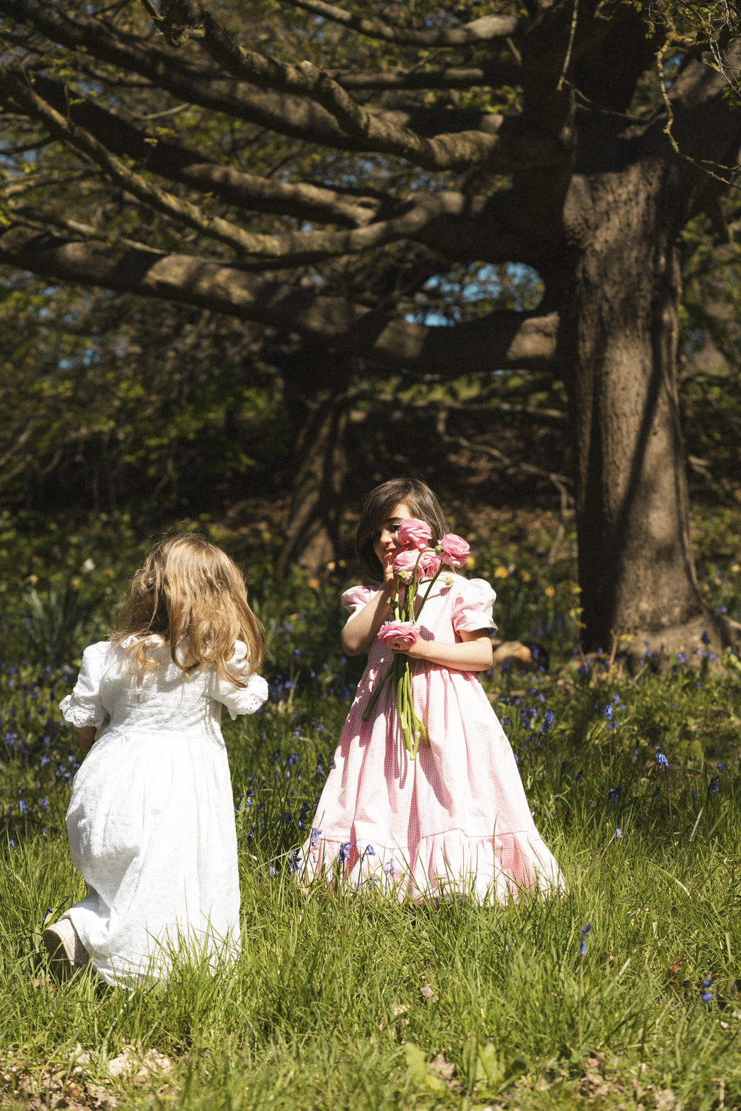 Little Lady's